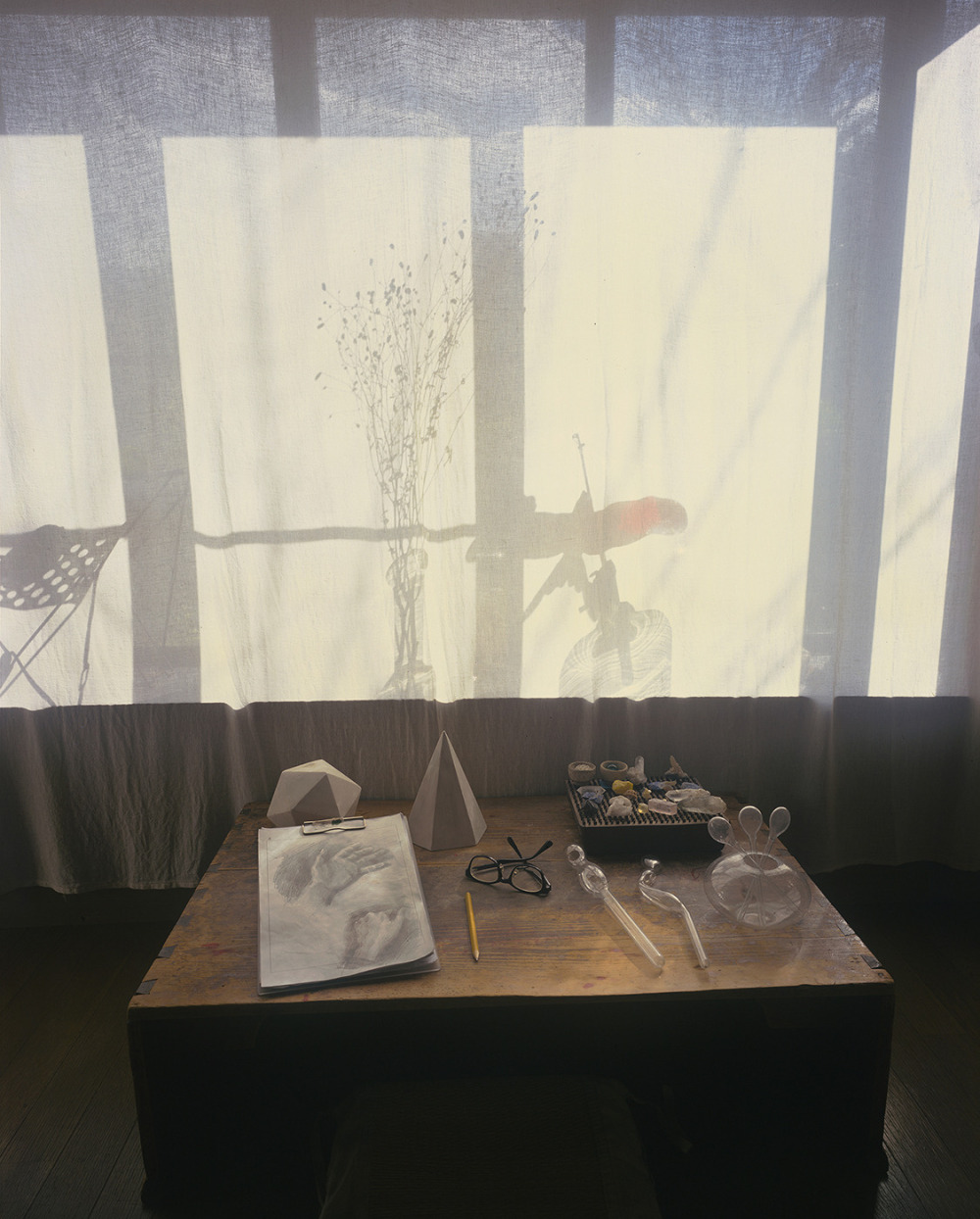 葉偉立_芷瑩的手 Echo’s Hands_藝術微噴、康頌平滑攝影藝術紙310克_143x117x6cm (含框)(版次1/6)_2023