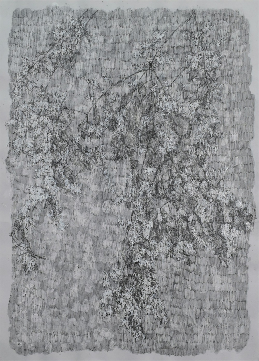 羅文欣  爍  代針筆‧炭筆‧蠟筆‧墨‧紙本  53×39cm  2021  NT.25,000