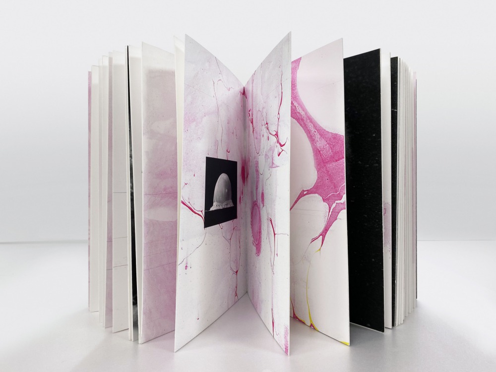 Maria Lezhnina  Marble is a state of Matter book  數位輸出、書盒  美術紙78頁  30x21cm(1/5版)  2019