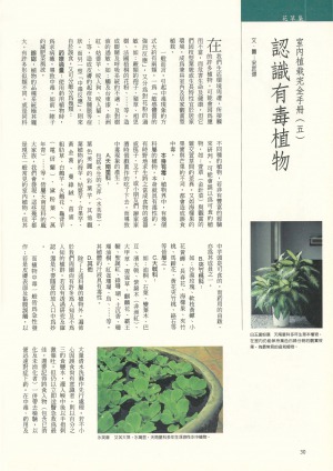 p30|認識有毒植物