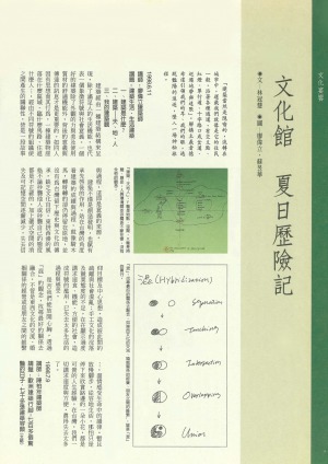 p30|文化饗宴