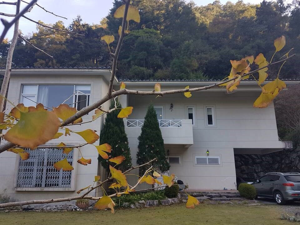 松鶴的家