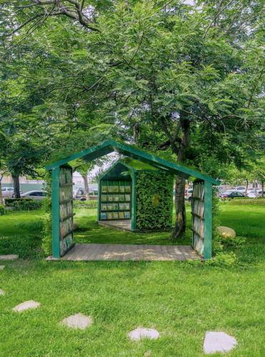 Reading in the park