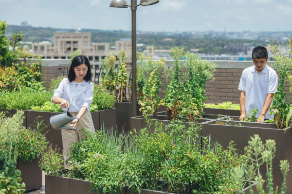 Urban Farmer Life Sky Family Farm